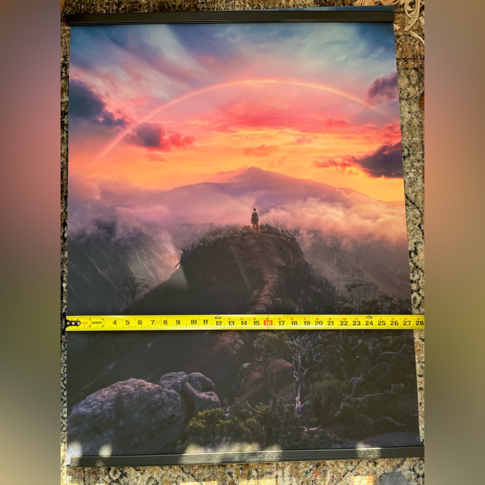 COPY - Ecstase “On Top of the World” Walltone Canvas Print - with Frame - Picture 4 of 8